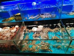 -苏格里岛自助烤肉海鲜火锅(成都金牛万达店)