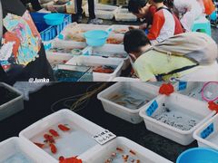 -清平路水族市场