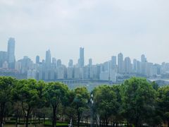 -丽晶轩中餐厅(重庆丽晶酒店)