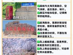 -日照灯塔风景区