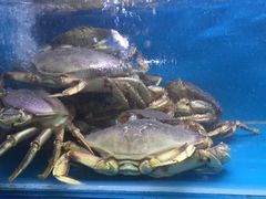 -渔满舱海鲜餐厅(北门外正街店)