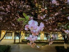 -仁恒西郊花园
