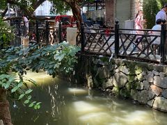 -小洲村