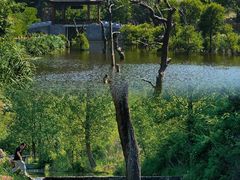 -泰山花样年华景区