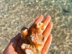 -半山半岛洲际度假酒店-沙滩吧