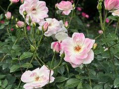 -人民公园(罗湖区)