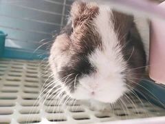 -UltraForce超源健身私教工作室(长楹天街精品店)