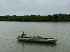 -东寨港红树林旅游区