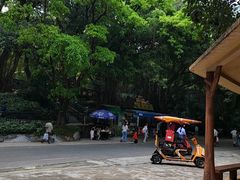 -深圳野生动物园