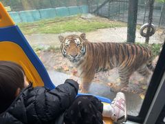 -栾川竹海野生动物园