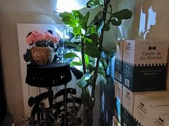 -Blac+Blac(中海环宇荟店)