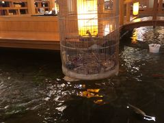 -松子料理(亮马桥店)