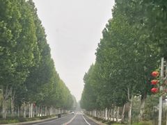 -南京金牛湖风景区