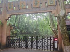 -灵谷景区