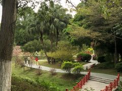 -东莞植物园