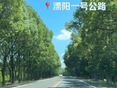 -天目湖松岭竹海漂流
