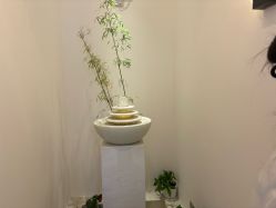 -悦色嘉丽科技美肤健康管理