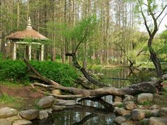 -共青国家森林公园-售票处