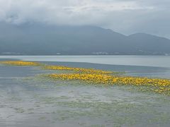 -西昌邛海湿地