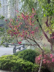 -馨果汇月子产康中心(南湖公园店)