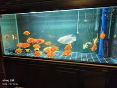 -C31地窖餐厅(黑龙江北路店)
