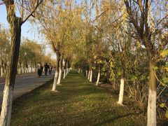 -艾溪湖湿地公园