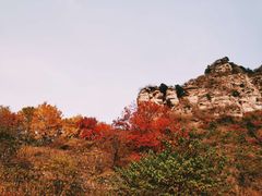 -北京上方山国家森林公园