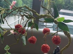 -故里和山·成都火锅(欢乐港湾店)