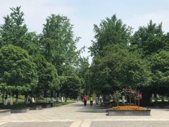 -重庆园博园