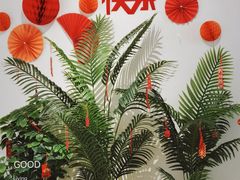 -Oasis coffee燕谷咖啡(公信店)