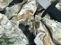 -蚝得喜海鲜(东城店)