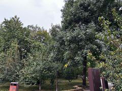 -元大都城垣遗址公园