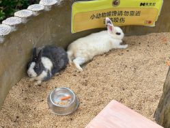-造物庄园 萌宠纪(苏州湾歌林公园店)