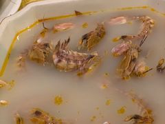 盐水濑尿虾-鸿达渔港