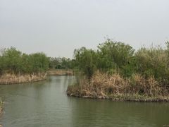 梁鸿国家湿地公园-梁鸿国家湿地公园