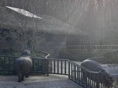 -济南野生动物世界