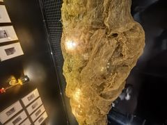 -顶特勒·黄鱼馆·特色菜(上海大世界店)