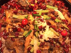 -老板恋上鱼(印象城店)