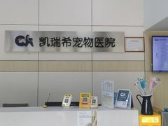 -凯瑞希宠物医院·狂犬免疫·微创·皮肤科