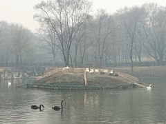 -沈阳森林动物园