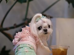 -小意思咖啡店(草桥店)