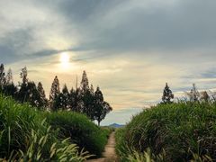 -良渚古城遗址公园