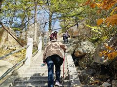 -崂山巨峰游览区