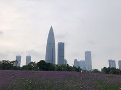 -深圳人才公园