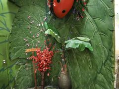 -上海大自然野生昆虫馆(东方明珠·爬宠昆虫探索中心)