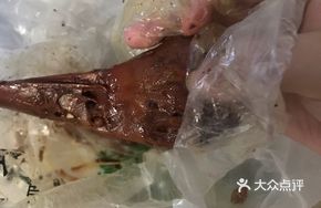 Black Duck Prosperity Duck Head