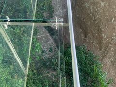 -亚龙湾热带天堂森林公园