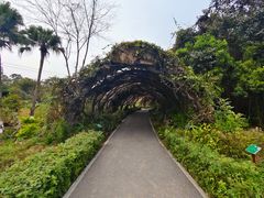 -广西壮族自治区药用植物园