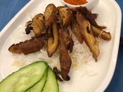 -阿毛饭店(和义路店)