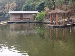 -水库河鲜村